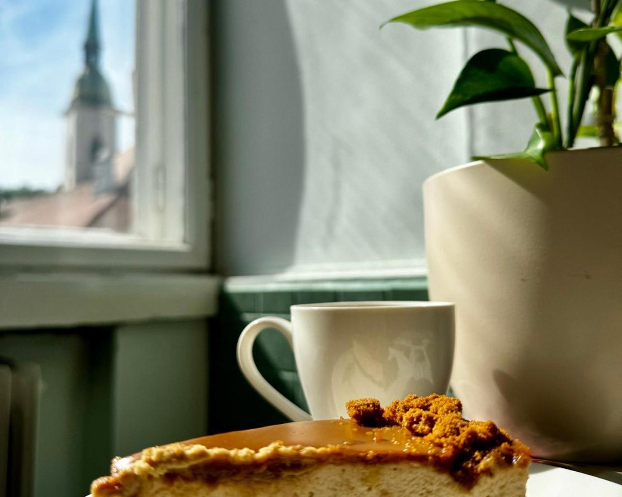 Extralarge Queen Room In The Heart Of Bratislava With Terrace Ngoại thất bức ảnh