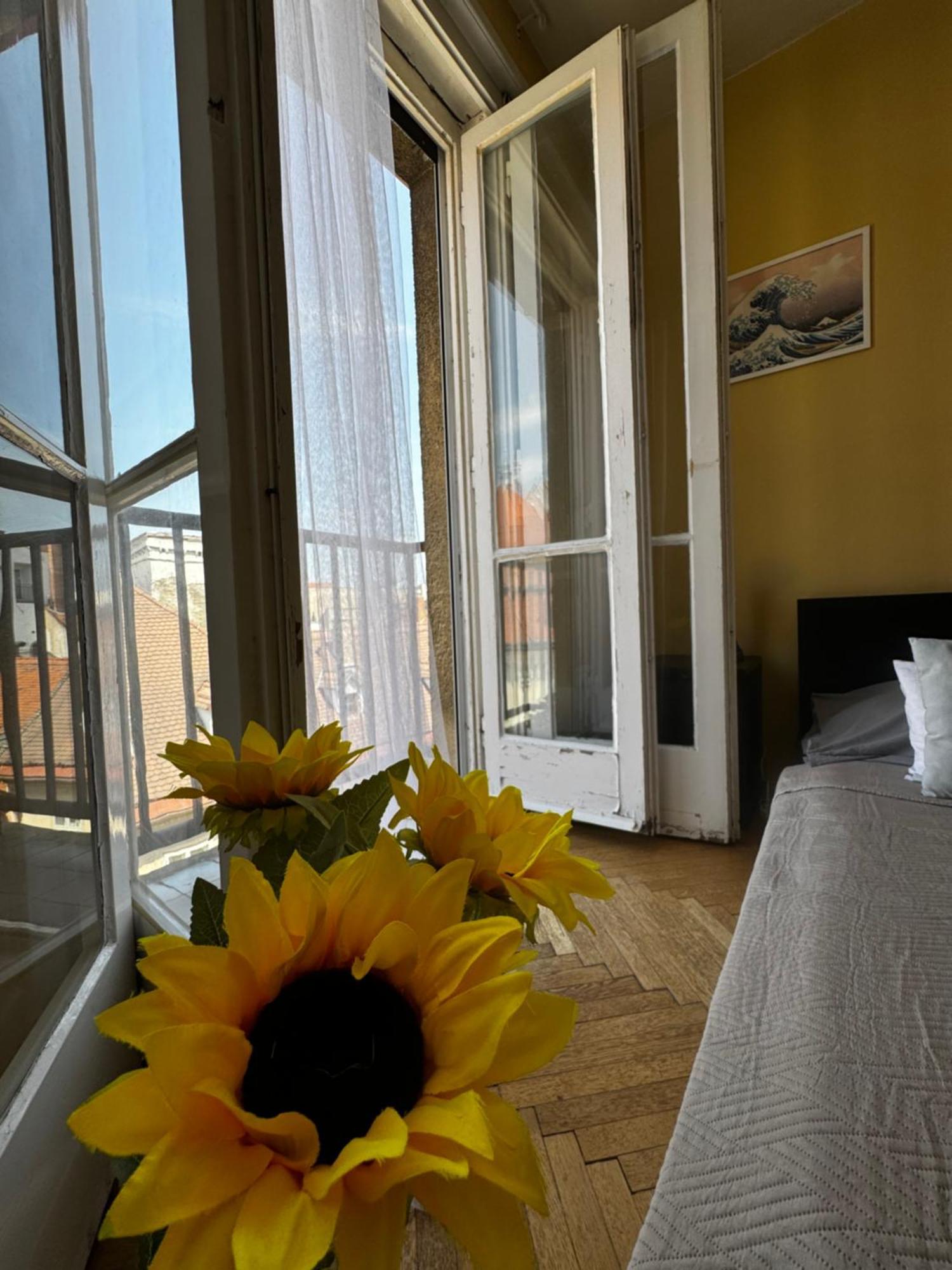 Extralarge Queen Room In The Heart Of Bratislava With Terrace Ngoại thất bức ảnh