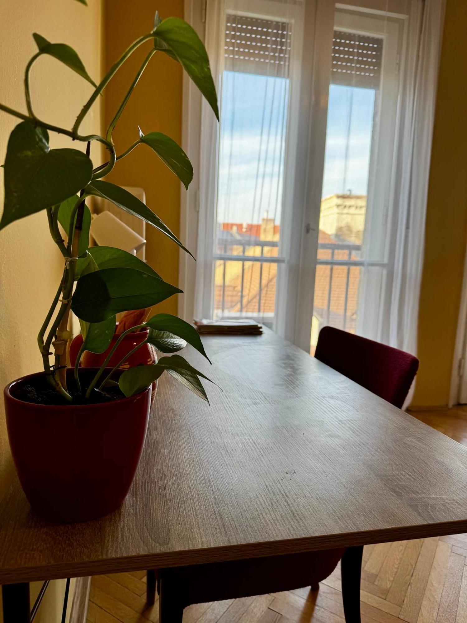 Extralarge Queen Room In The Heart Of Bratislava With Terrace Ngoại thất bức ảnh